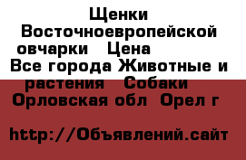 Щенки Восточноевропейской овчарки › Цена ­ 25 000 - Все города Животные и растения » Собаки   . Орловская обл.,Орел г.